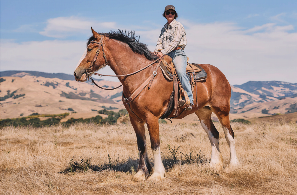 woman on a Clydesdale horse